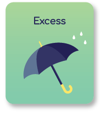Excess Insurance Product Card - Hover