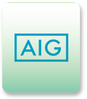 AIG Excess