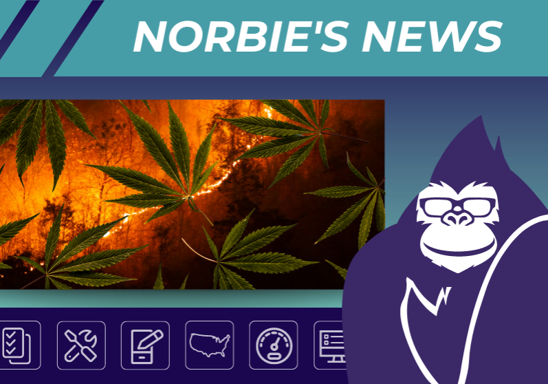Blog 26 - Cannabis Crops Are Closer to Wildfire Perimeters Than Any Other Harvest in the Golden State