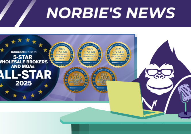 Blog 58 - BTIS Shines Again at the 2024 IBA 5-Star Awards