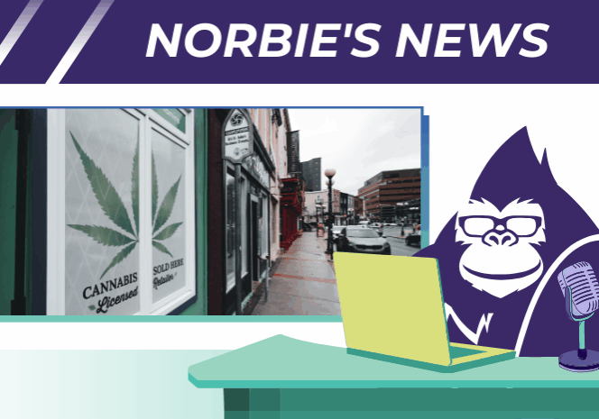 Blog 61 - Navigating the Haze_ Understanding Insurance Needs for Cannabis Businesses